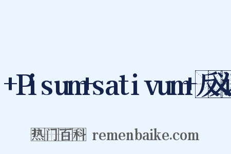 +Pisum+sativum+反义词是什么意思的图片